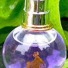 Парфюм Lanvin Eclat D'arpege