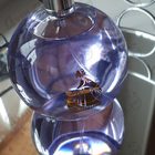 Парфюм Lanvin Eclat D'arpege