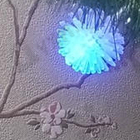 Отзывы Lanvin Eclat D'arpege