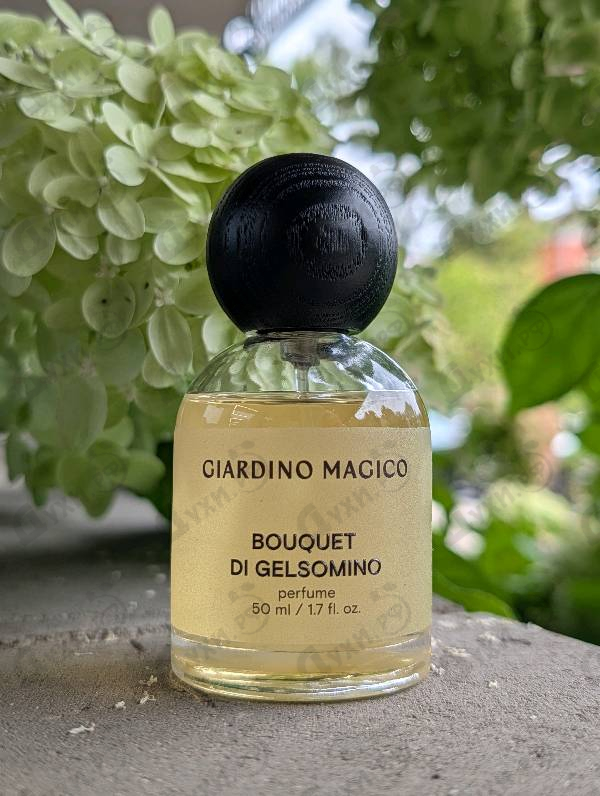 Отзывы Giardino Magico Bouquet Di Gelsomino