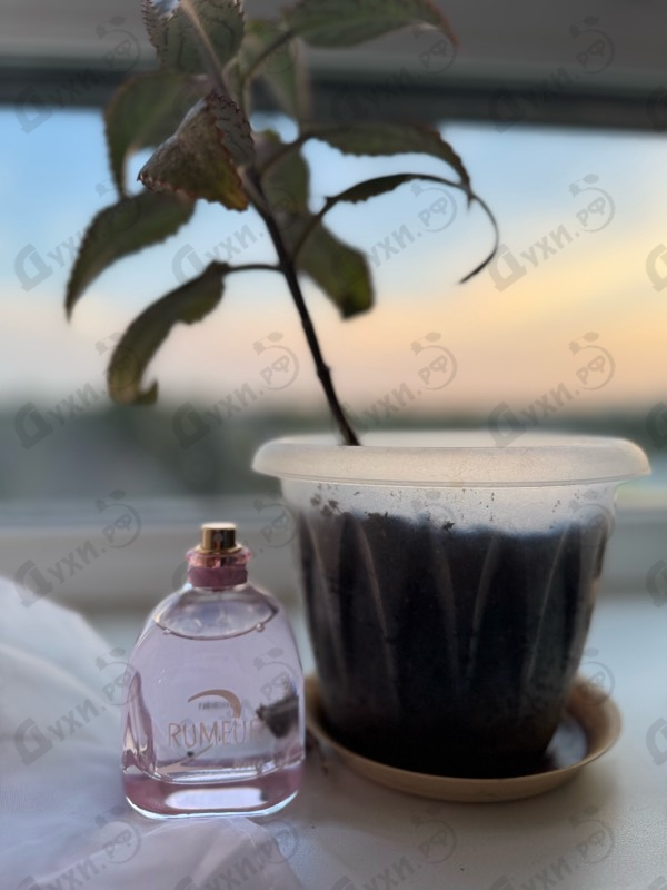 Парфюмерия Rumeur 2 Rose от Lanvin