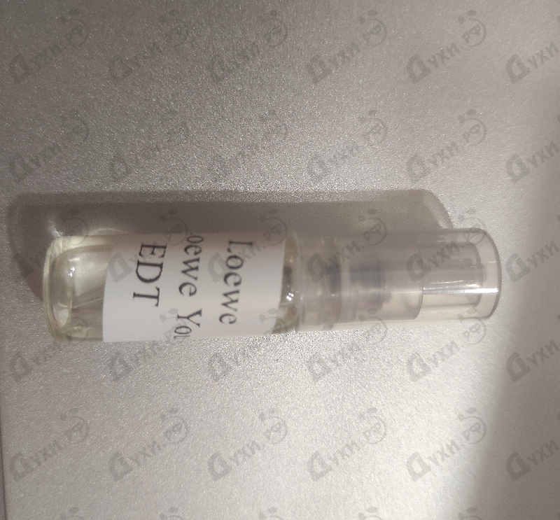 Купить I Loewe You от Loewe