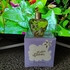 Парфюмерия Fleur Defendue от Lolita Lempicka