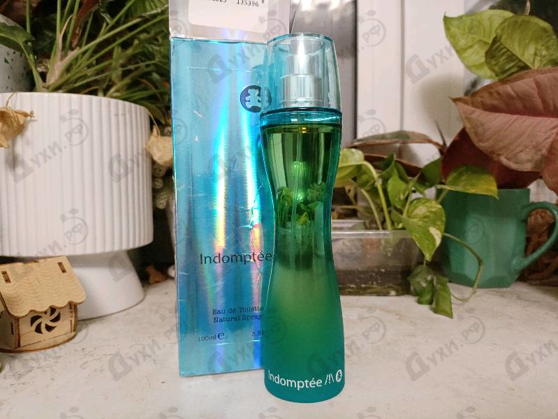 Духи Indomptee от Lulu Castagnette
