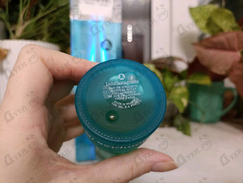 Отзыв Lulu Castagnette Indomptee