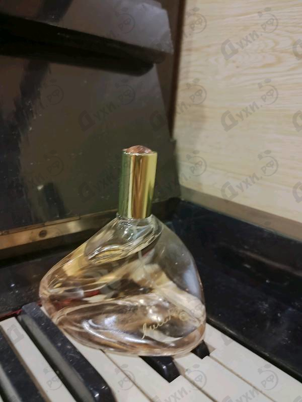 Купить Lulu Rose от Lulu Castagnette