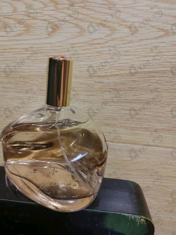 Парфюмерия Lulu Rose от Lulu Castagnette