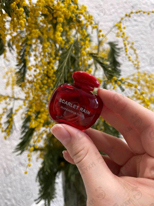 Купить Scarlet Rain от Mandarina Duck Купить Mandarina Duck Scarlet Rain