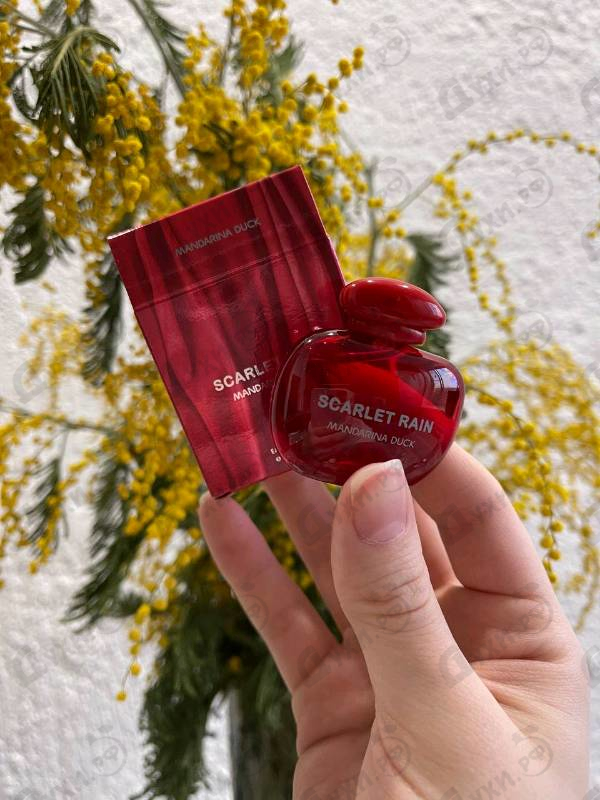 Купить Mandarina Duck Scarlet Rain Купить Scarlet Rain от Mandarina Duck