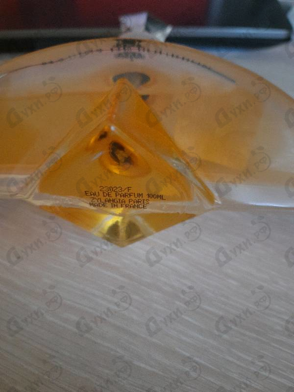 Отзыв Marina De Bourbon Women Купить Women от Marina De Bourbon