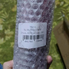 Отзывы Mexx Xx By Mexx Wild