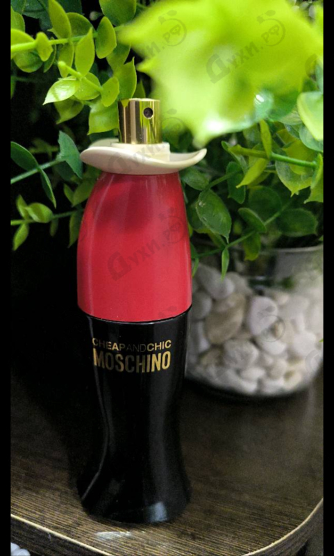 Купить Cheap And Chic от Moschino