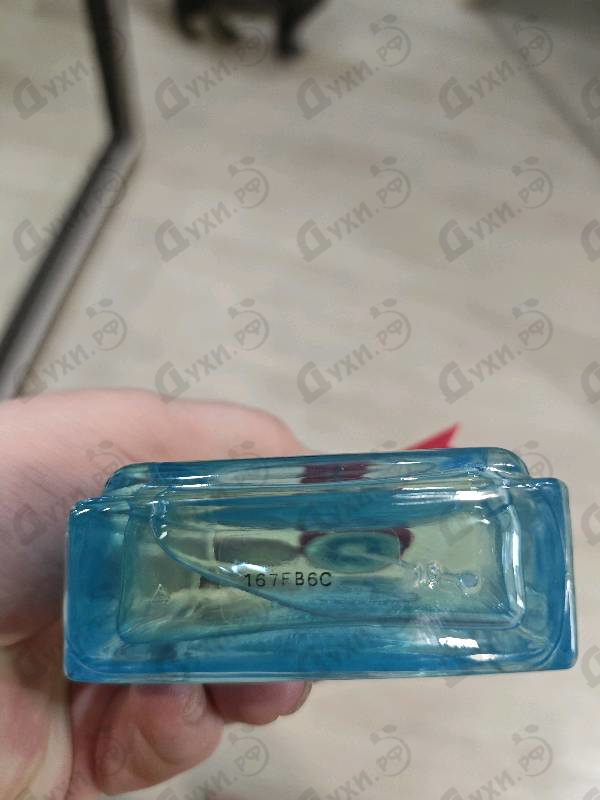 Купить Funny от Moschino