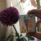 Парфюм Moschino I Love Love