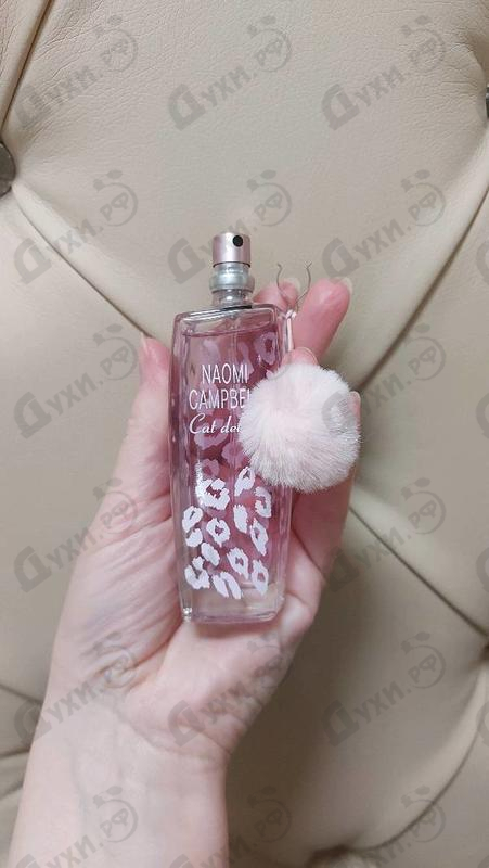 Отзыв Naomi Campbell Cat Delluxe Купить Cat Delluxe от Naomi Campbell