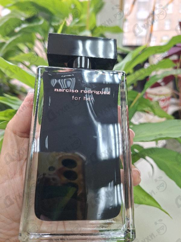 Купить Narciso Rodriguez For Her