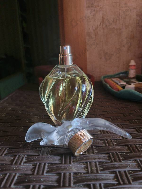 Купить Nina Ricci L'air Du Temps