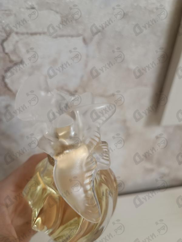 Парфюм Nina Ricci L'air Du Temps Духи L'air Du Temps от Nina Ricci