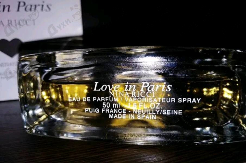 Купить Nina Ricci Love In Paris
