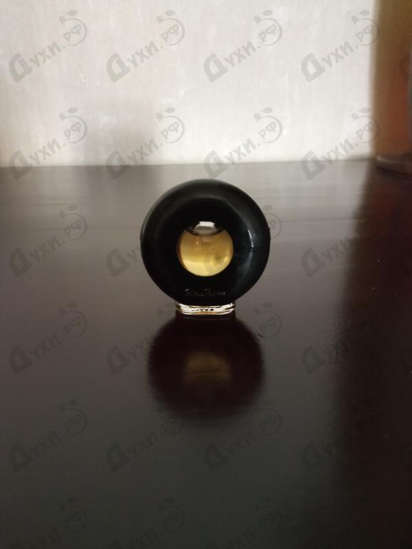 Купить Women от Paloma Picasso