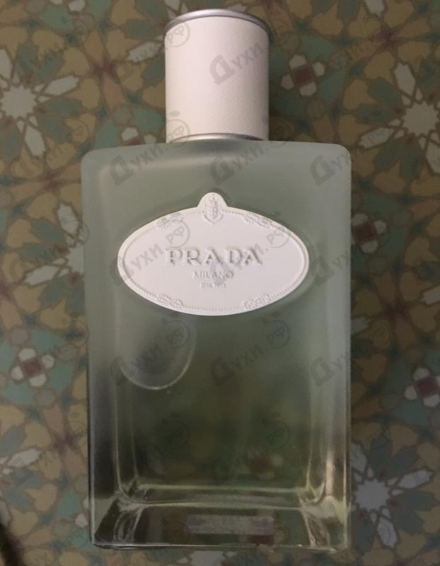 Купить Infusion D'iris от Prada