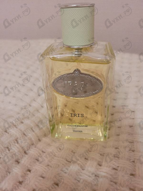 Prada iris perfume 200ml online