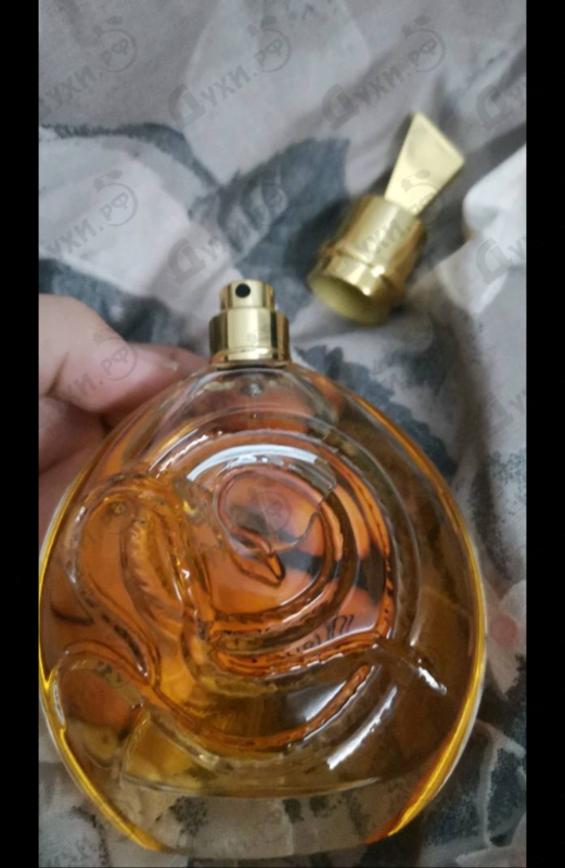 Парфюмерия Serpentine от Roberto Cavalli