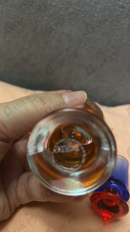 Парфюмерия Tocade от Rochas