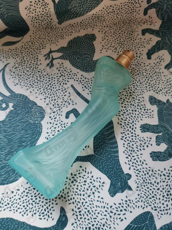Купить Dalistyle от Salvador Dali