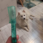 Отзывы Salvador Dali Laguna