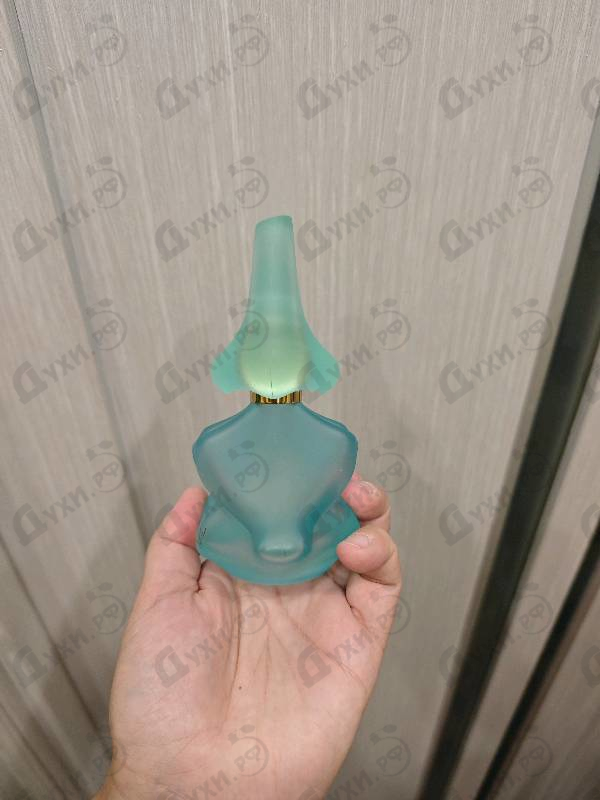 Купить Laguna от Salvador Dali