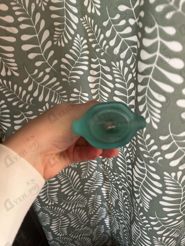 Отзывы Salvador Dali Laguna