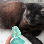 Отзыв Salvador Dali Laguna