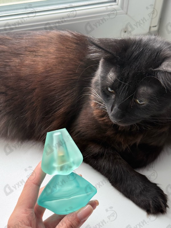 Отзыв Salvador Dali Laguna