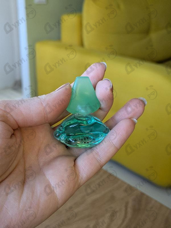 Купить Salvador Dali Laguna