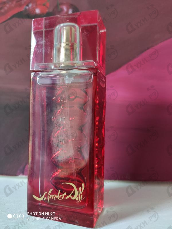 Купить Salvador Dali Ruby Lips Купить Ruby Lips от Salvador Dali