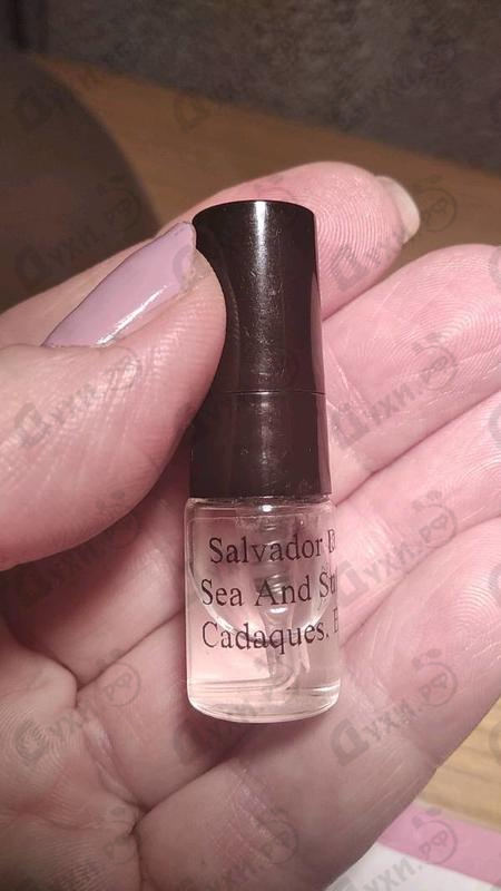 Парфюм Salvador Dali Sea And Sun In Cadaques Купить Sea And Sun In Cadaques от Salvador Dali