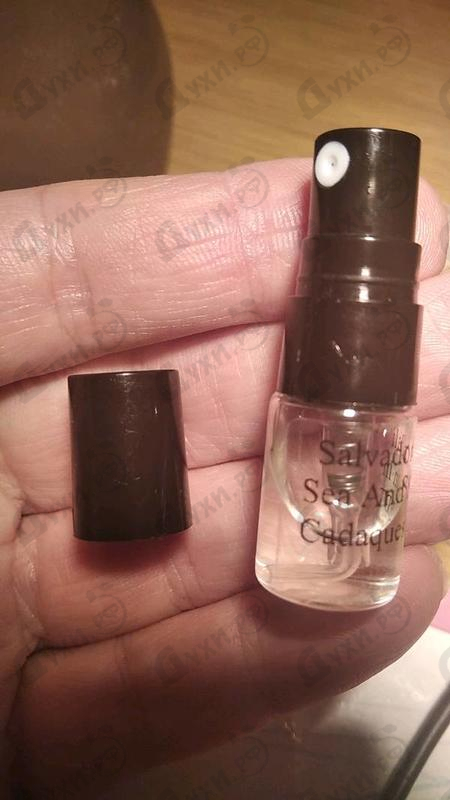 Духи Sea And Sun In Cadaques от Salvador Dali Отзыв Salvador Dali Sea And Sun In Cadaques