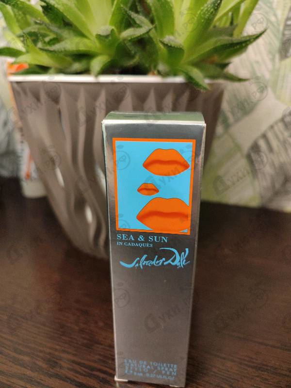 Купить Sea And Sun In Cadaques от Salvador Dali