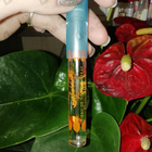 Отзыв Salvador Dali Sea And Sun In Cadaques