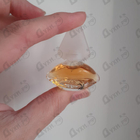 Отзывы Salvador Dali Dali