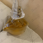 Отзывы Salvador Dali Dali