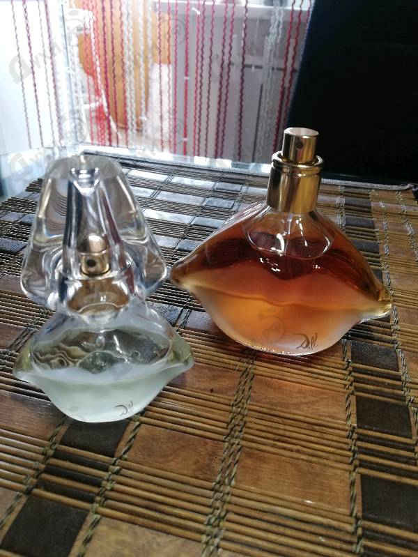 Купить Salvador Dali Dali