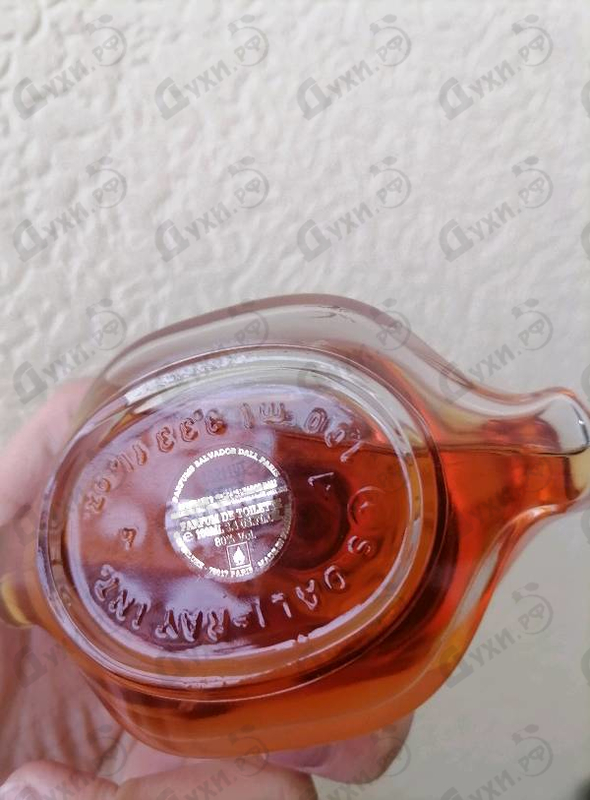 Купить Dali от Salvador Dali