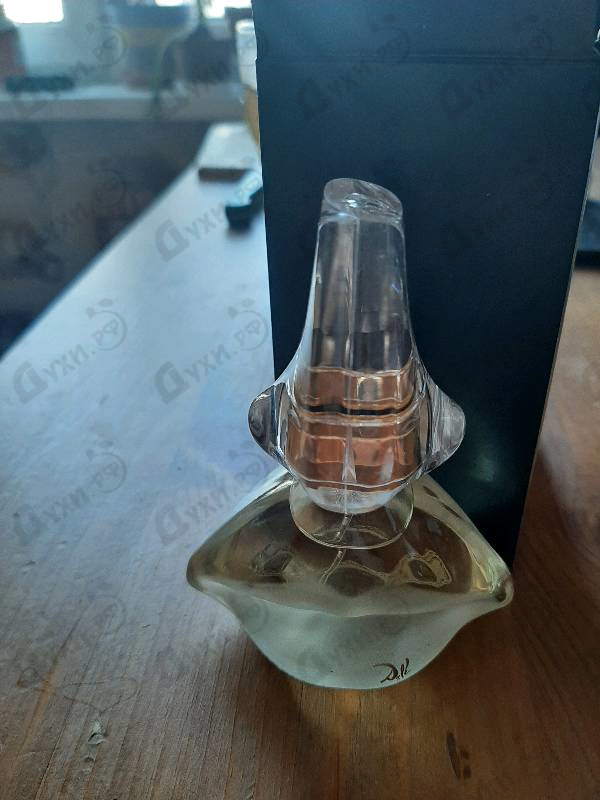 Отзыв Salvador Dali Dali