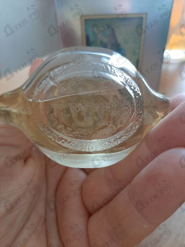 Духи Dali от Salvador Dali