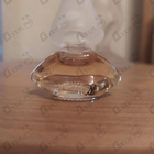 Отзывы Salvador Dali Dali