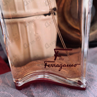 Отзыв Salvatore Ferragamo F By Ferragamo