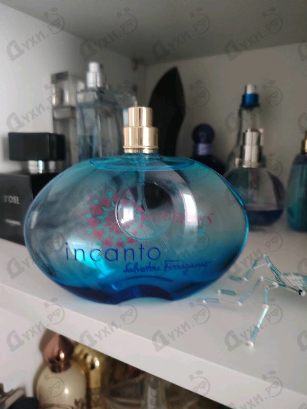 Отзыв Salvatore Ferragamo Incanto Charms