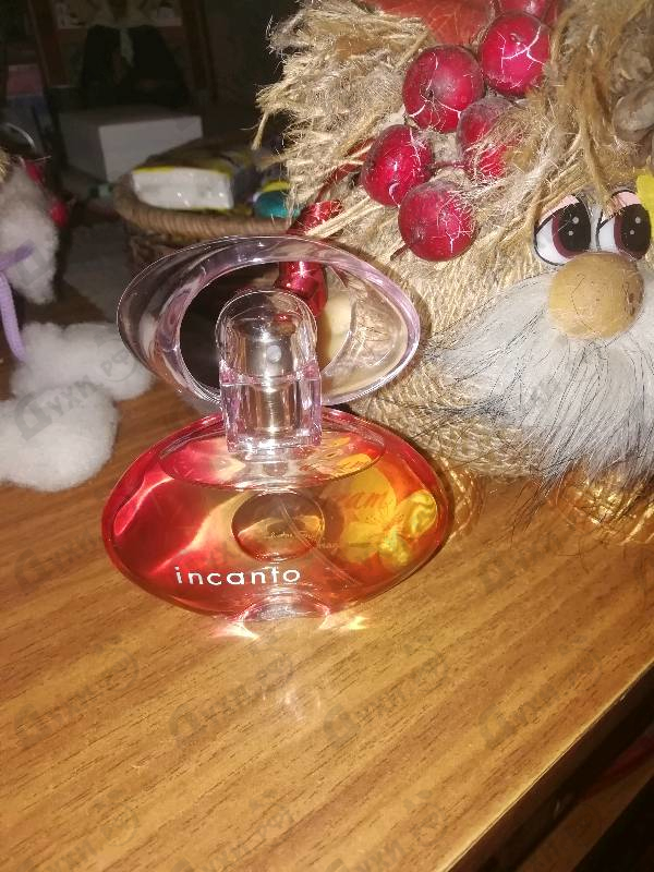 Купить Salvatore Ferragamo Incanto Dream